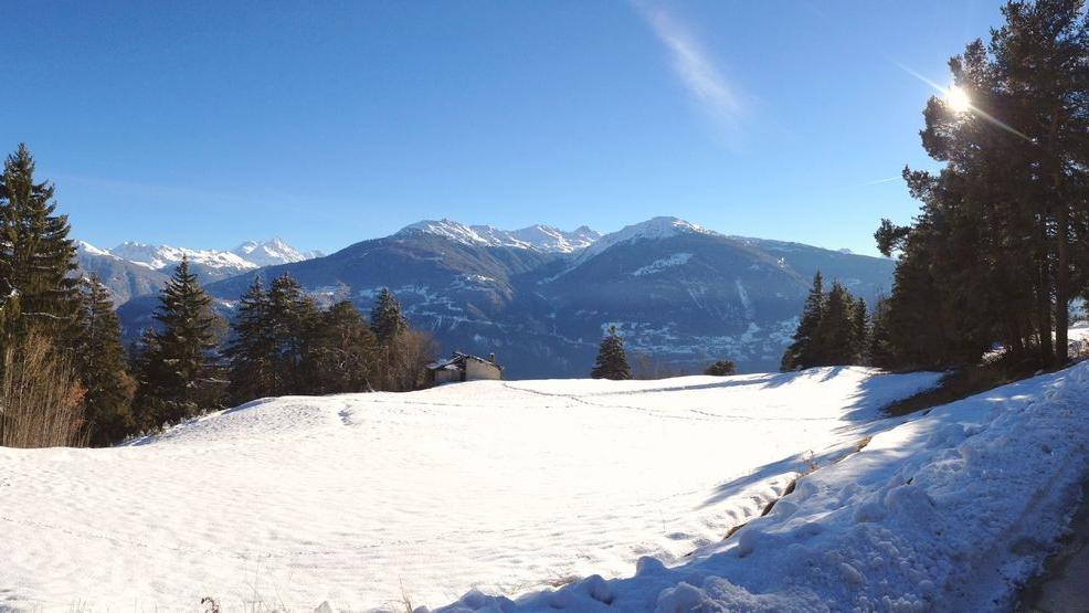 A vendre 3971 Chermignon Terrain à bâtir 