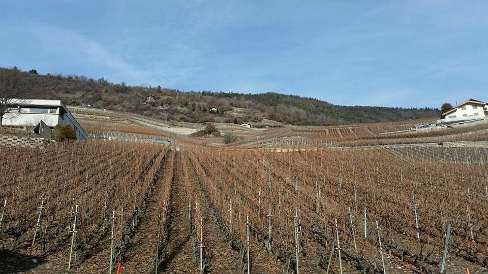 A vendre 3978 Flanthey Terrain à bâtir 
