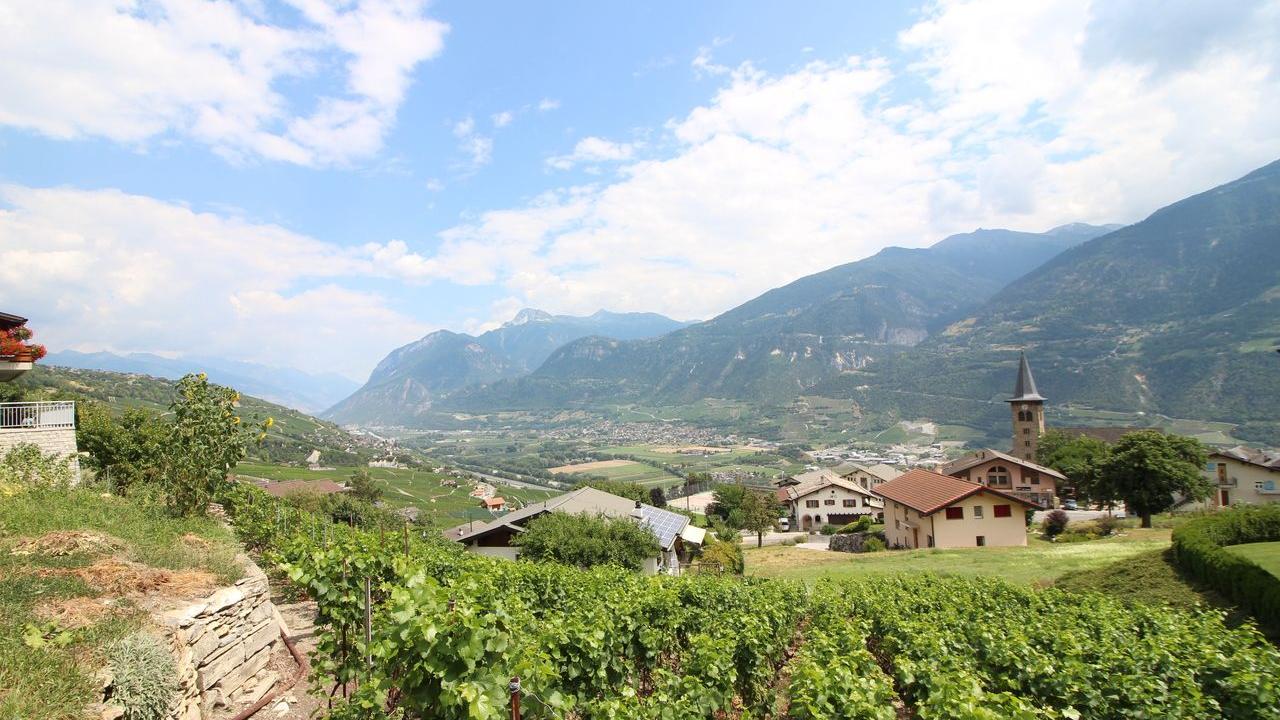A vendre 3978 Flanthey Terrain à bâtir 