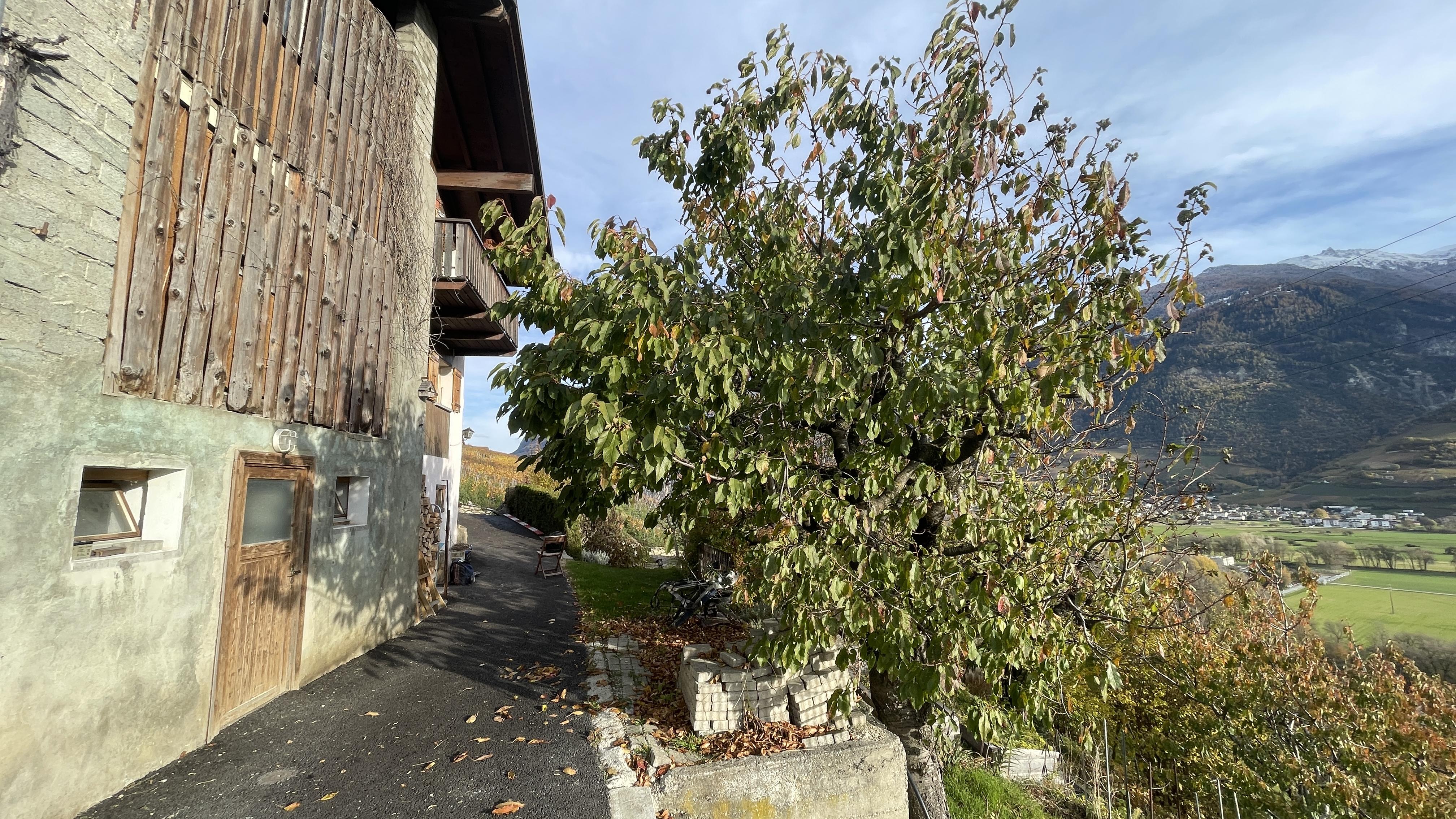A vendre 3971 Ollon VS Maison 